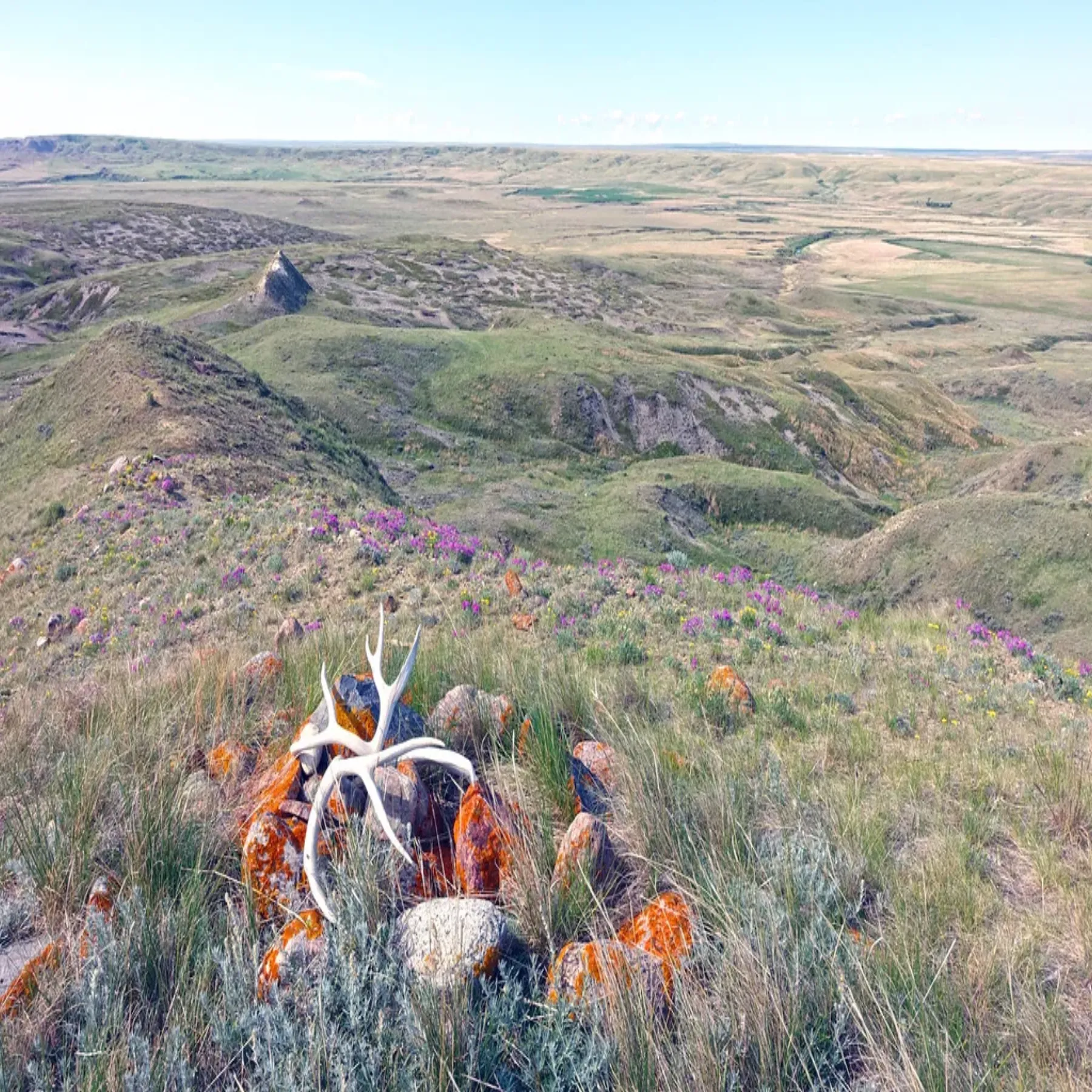 La pradera abierta y las laderas de 70 Mile Butte, en el parque nacional Grasslands.