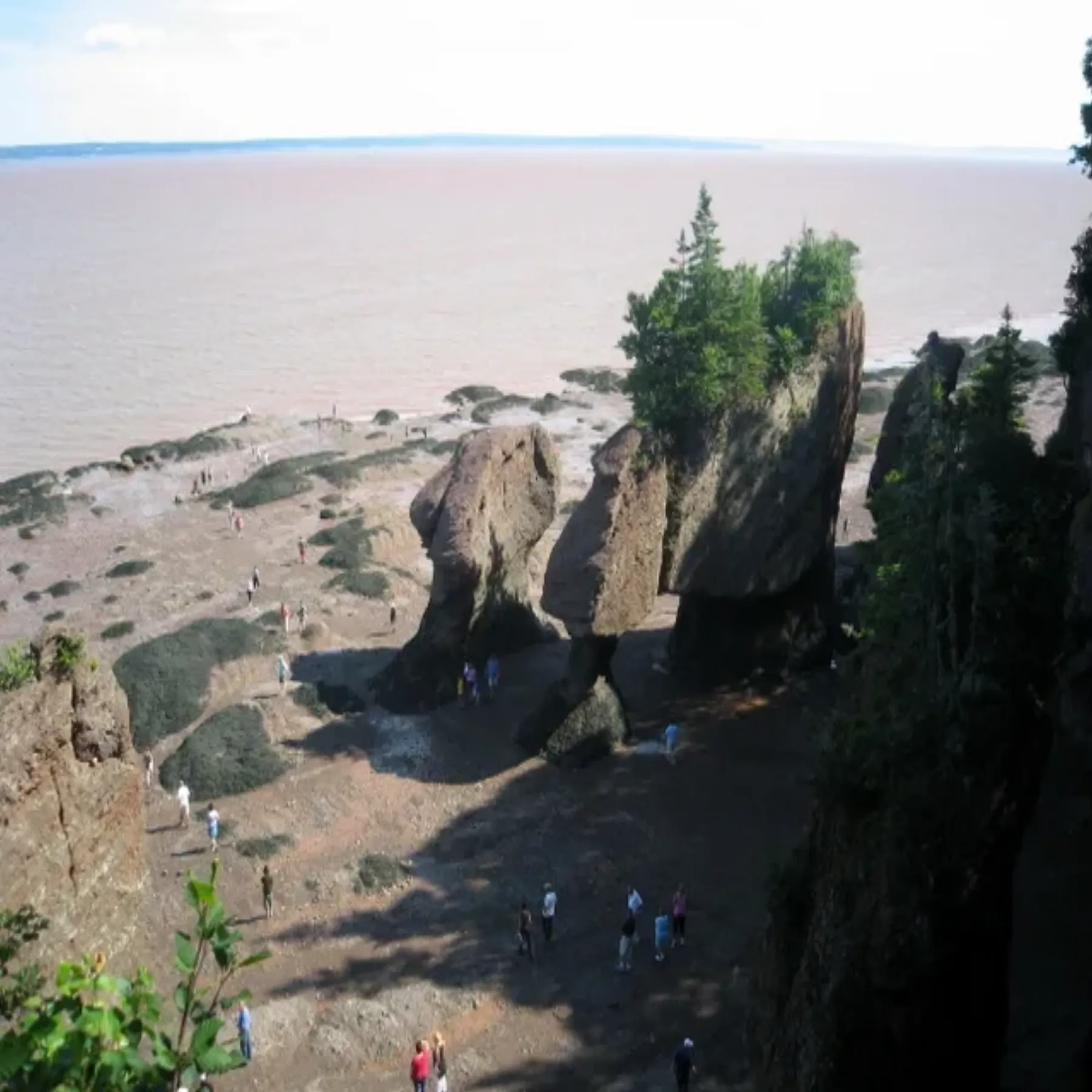 Visitantes caminan por el fondo marino entre las rocas de Hopewell durante la marea baja.