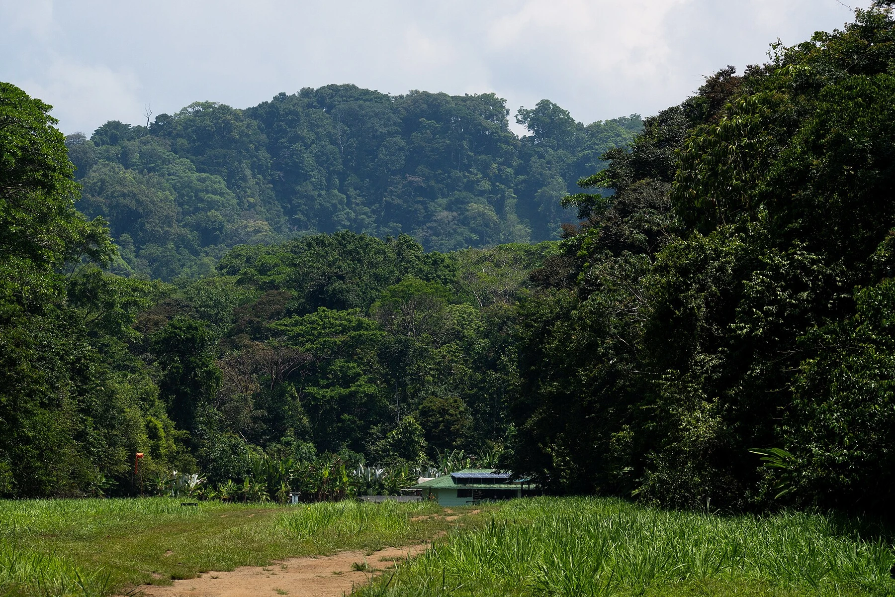 Corcovado in Costa Rica.