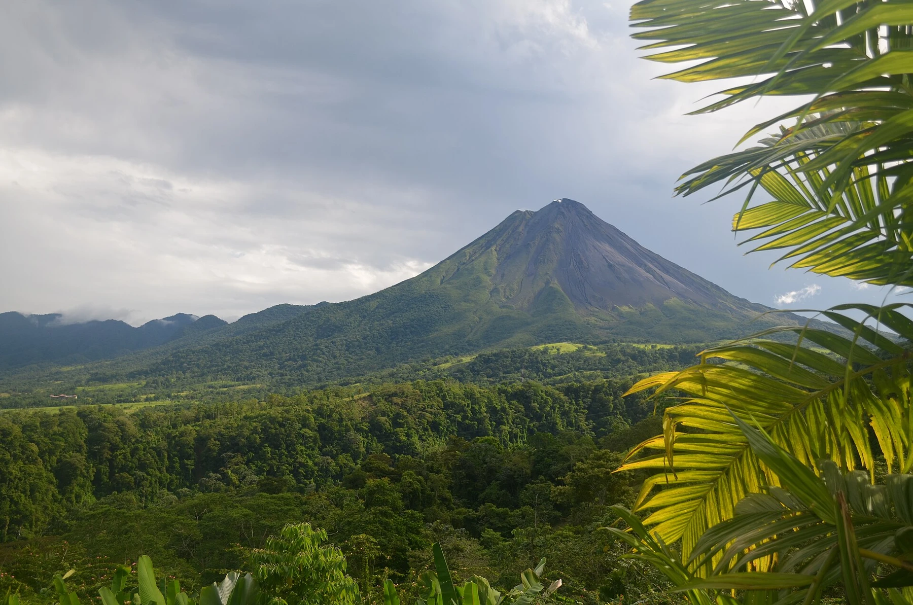 old lava trails at Arenal in Costa Rica.