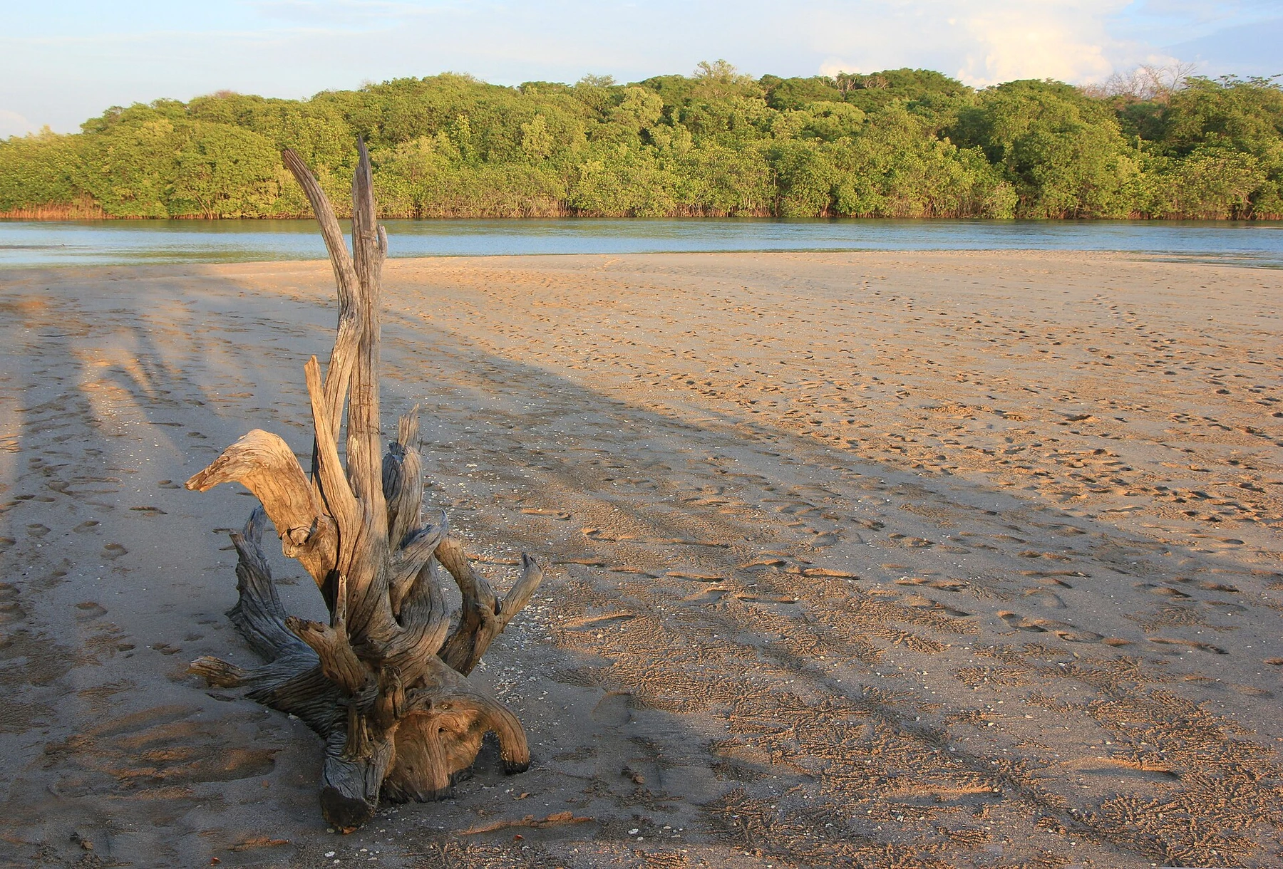 The tidal channel and sandbanks of Tamarindo Estuary, Costa Rica.
