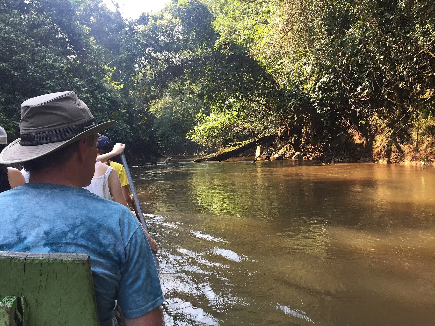 A canoe moving through a forest-lined waterway in Cuyabeno, Ecuador.
