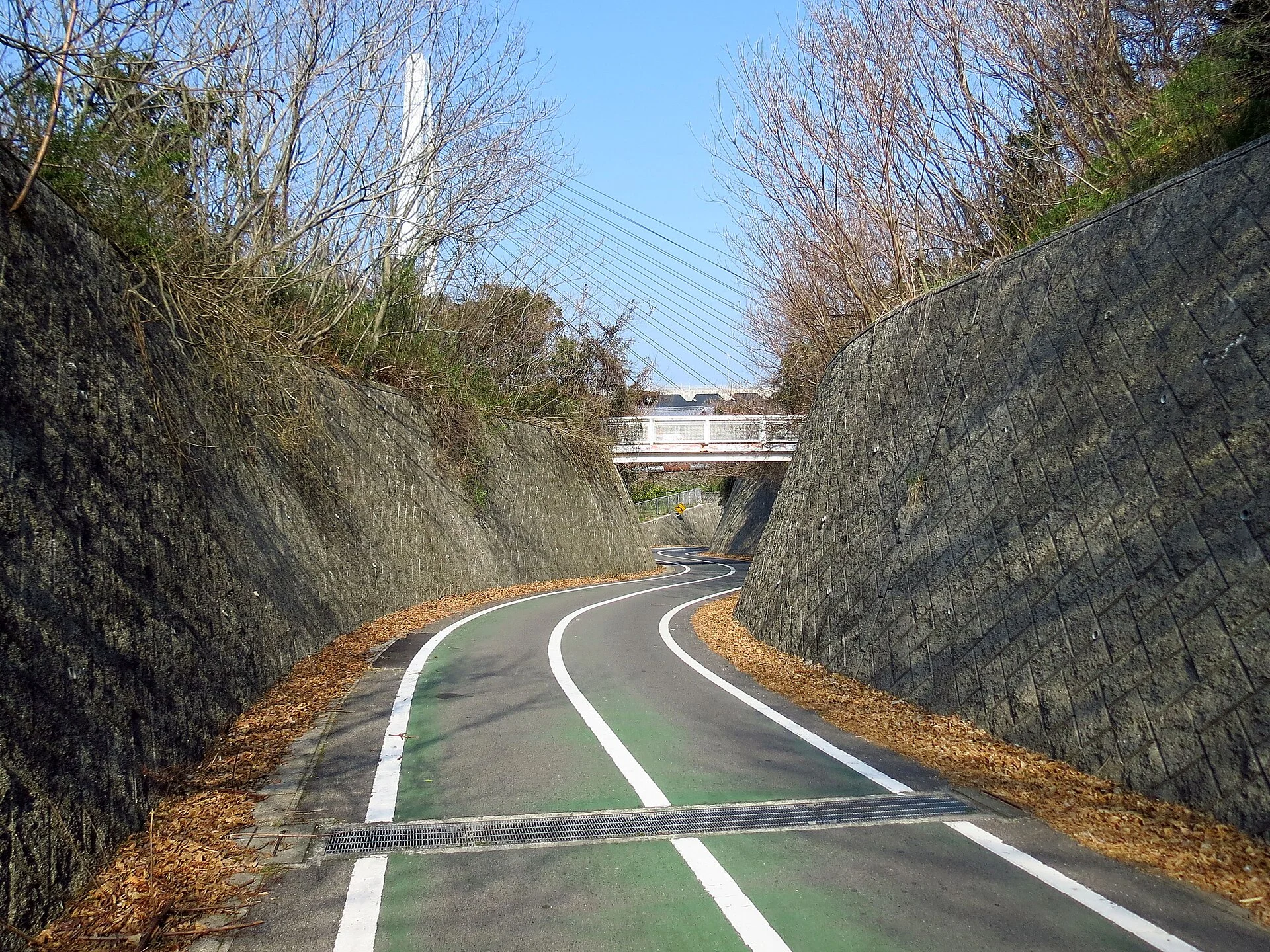 Cyclists on the Shimanami Kaido bikeway in Japan.