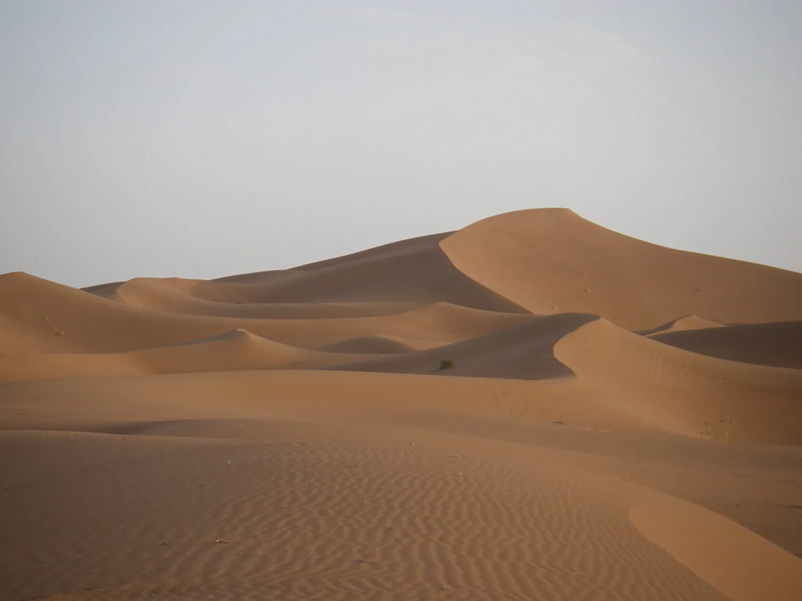 Sand dunes at Erg Chigaga in Morocco