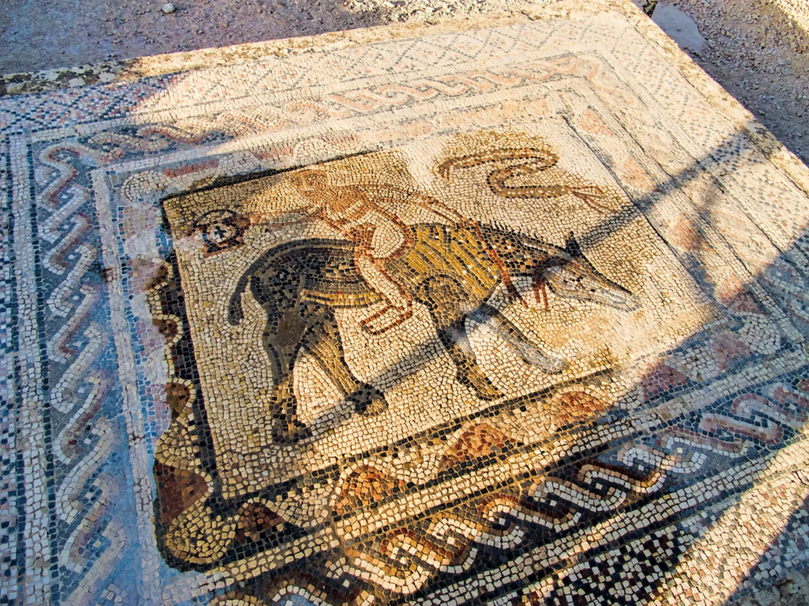 A Roman mosaic floor at Volubilis in Morocco