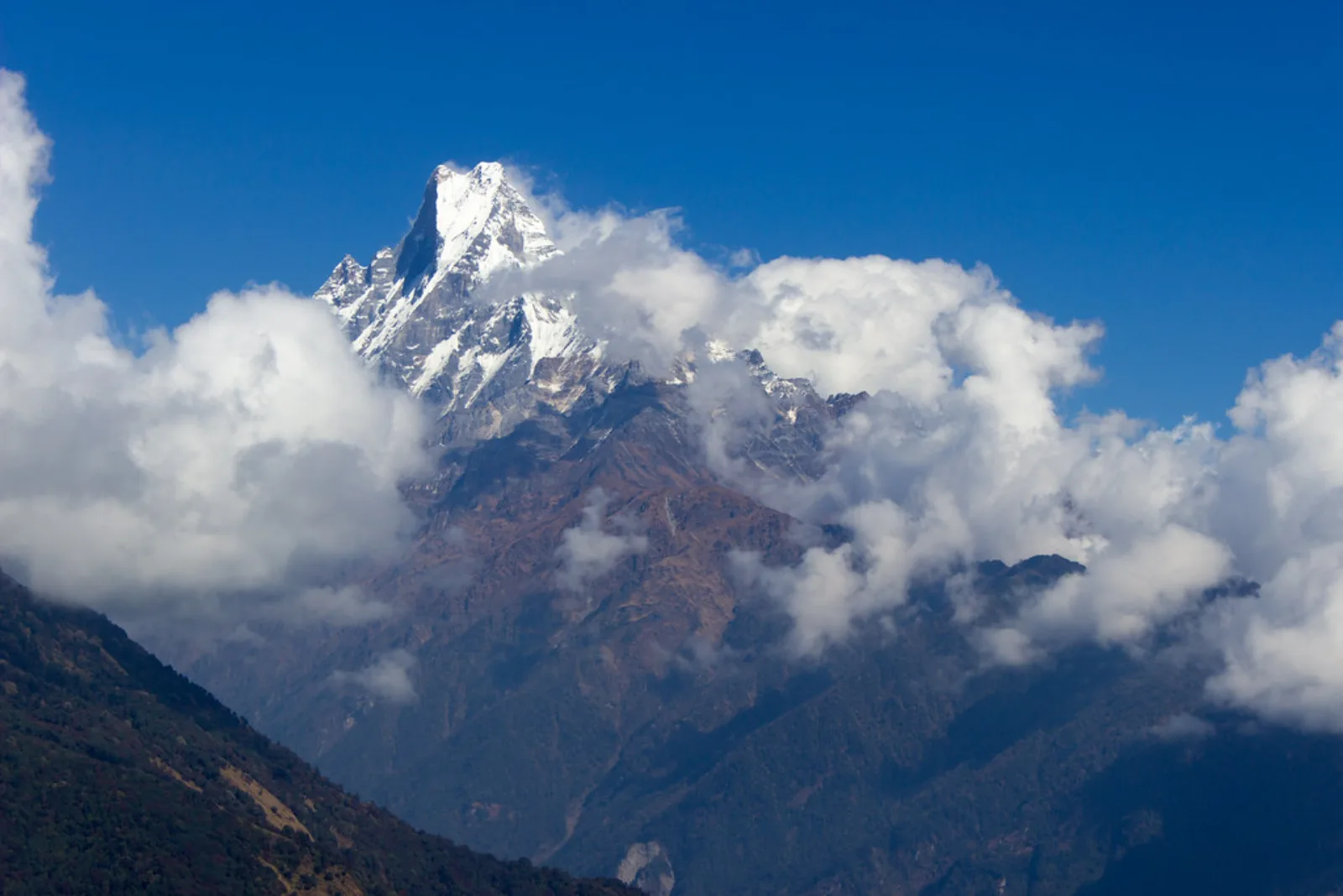 Machapuchare sobre la ruta al campamento base del Annapurna