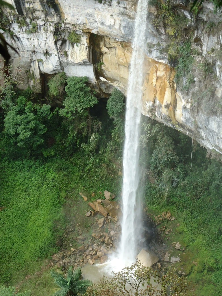 Yumbilla Waterfall dropping through cloud forest in Peru.