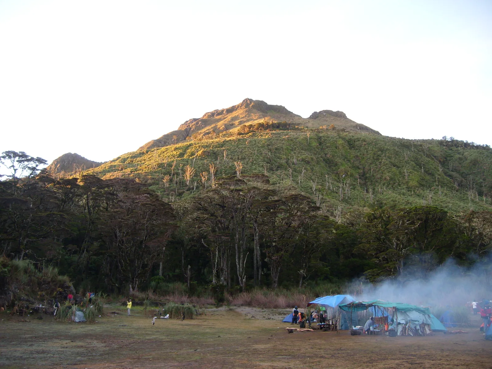 La montaña y los bosques del monte Apo.