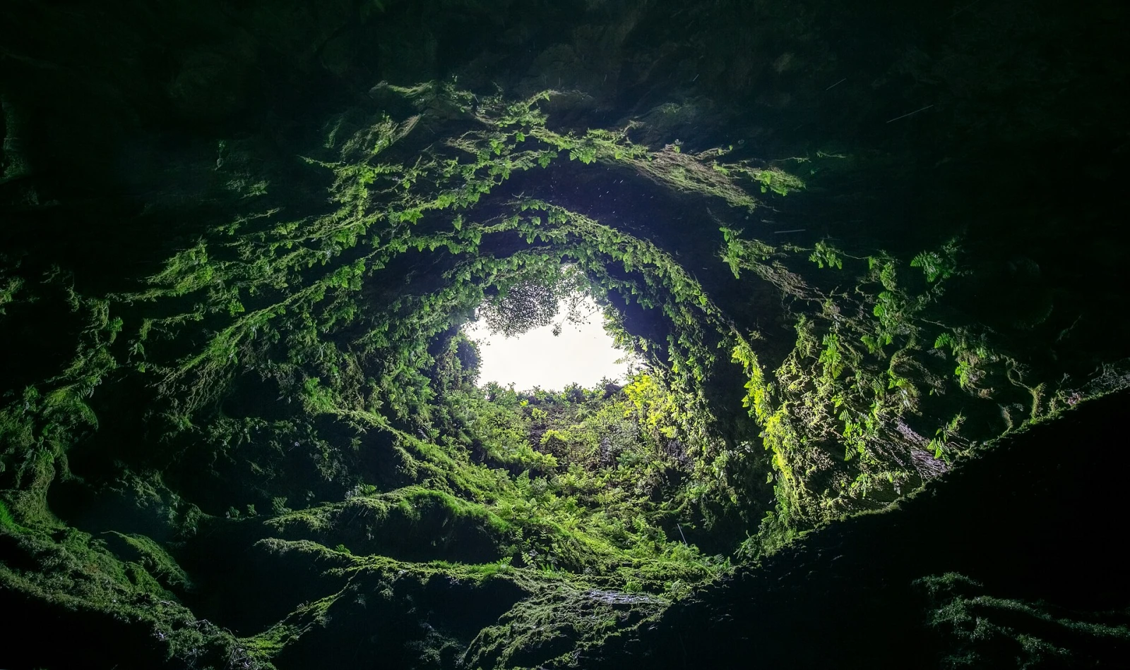 The lush interior and lava walls of Algar do Carvão on Terceira.