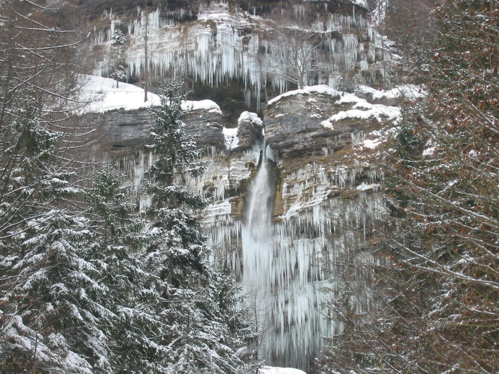 Peričnik Waterfall frozen among snowy trees in winter.