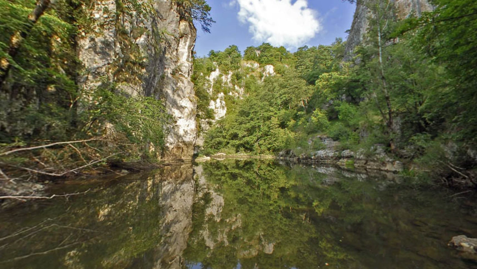 The Reka River below limestone cliffs in the Škocjan Caves landscape.
