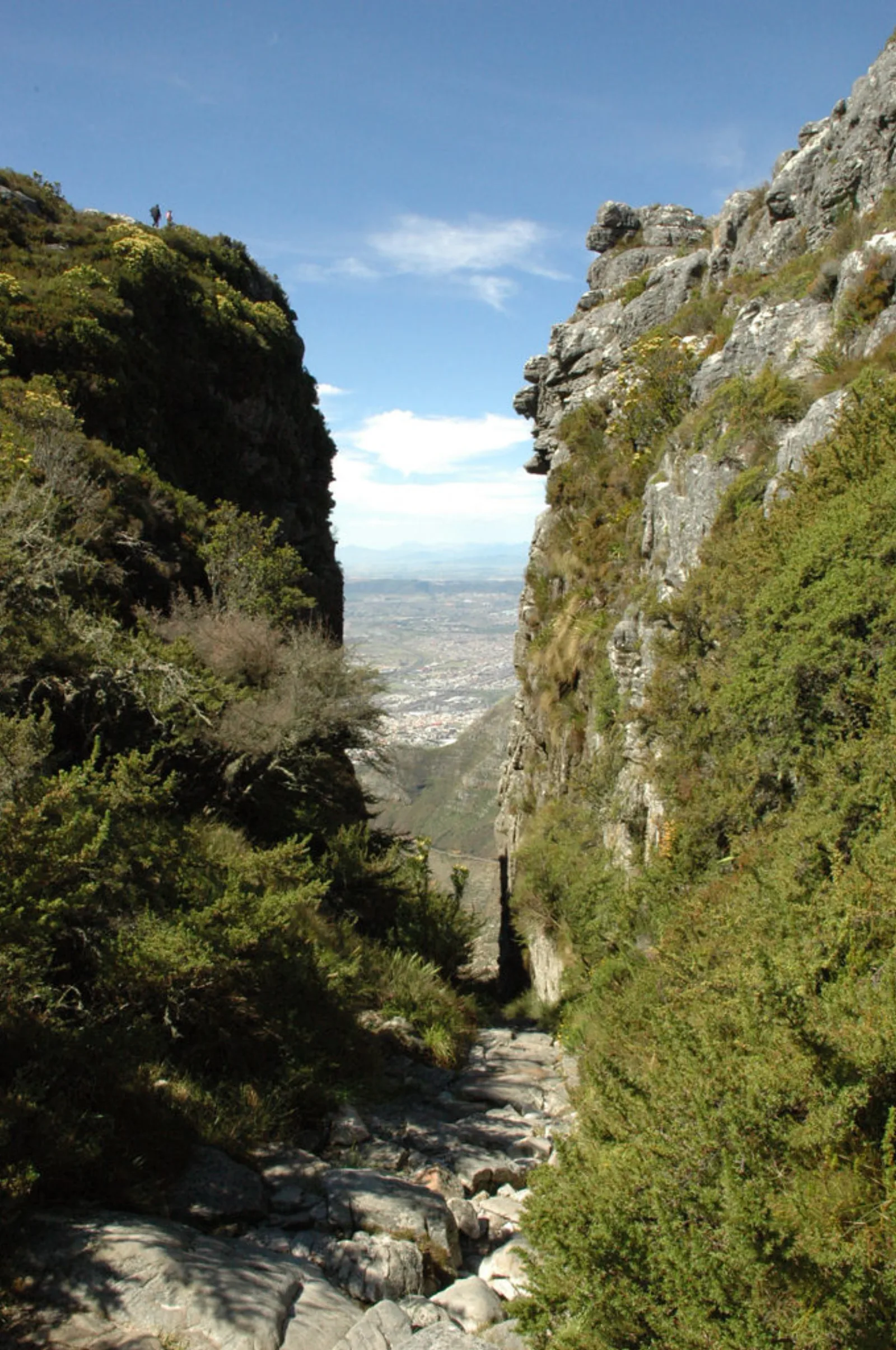 Table Mountain route through Platteklip Gorge above Cape Town.