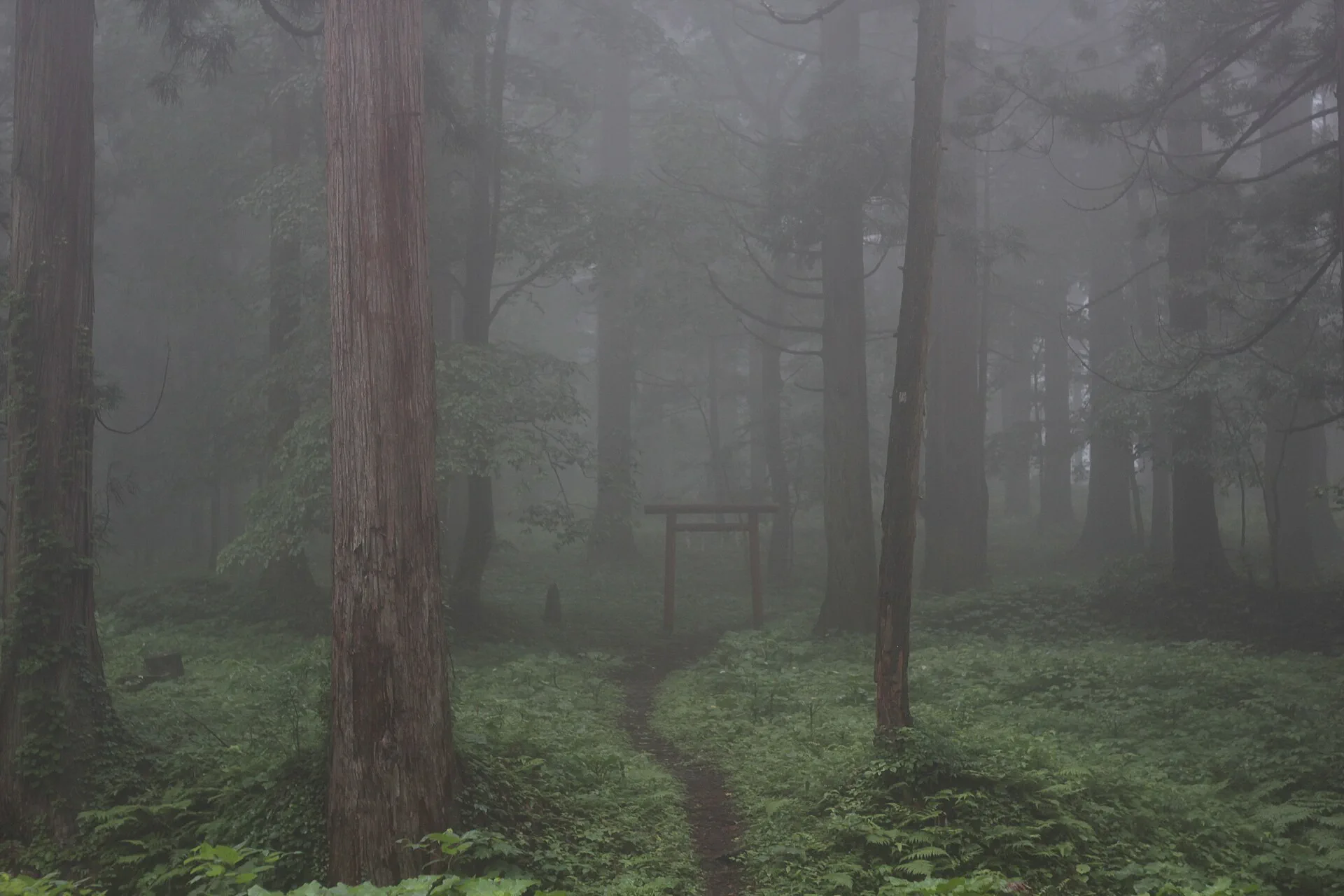The five-storied pagoda at Mount Haguro in the Dewa Sanzan sacred mountains.