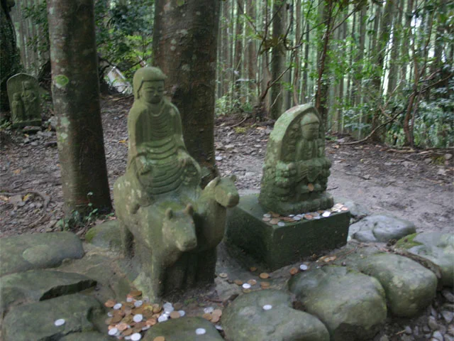 Stone paving through cedar forest on the Kumano Kodo Nakahechi in Japan.