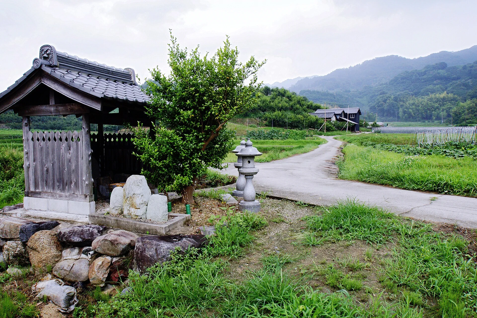 Stone steps and forest on Japan's ancient Yamanobe-no-michi.