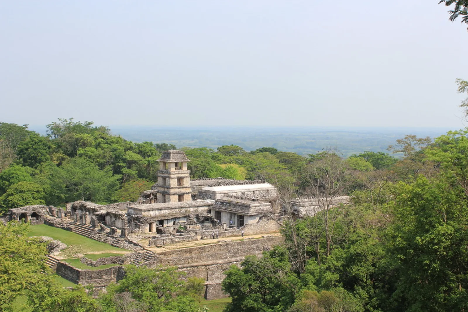 El Palacio y la torre de Palenque, entre colinas cubiertas de bosque.