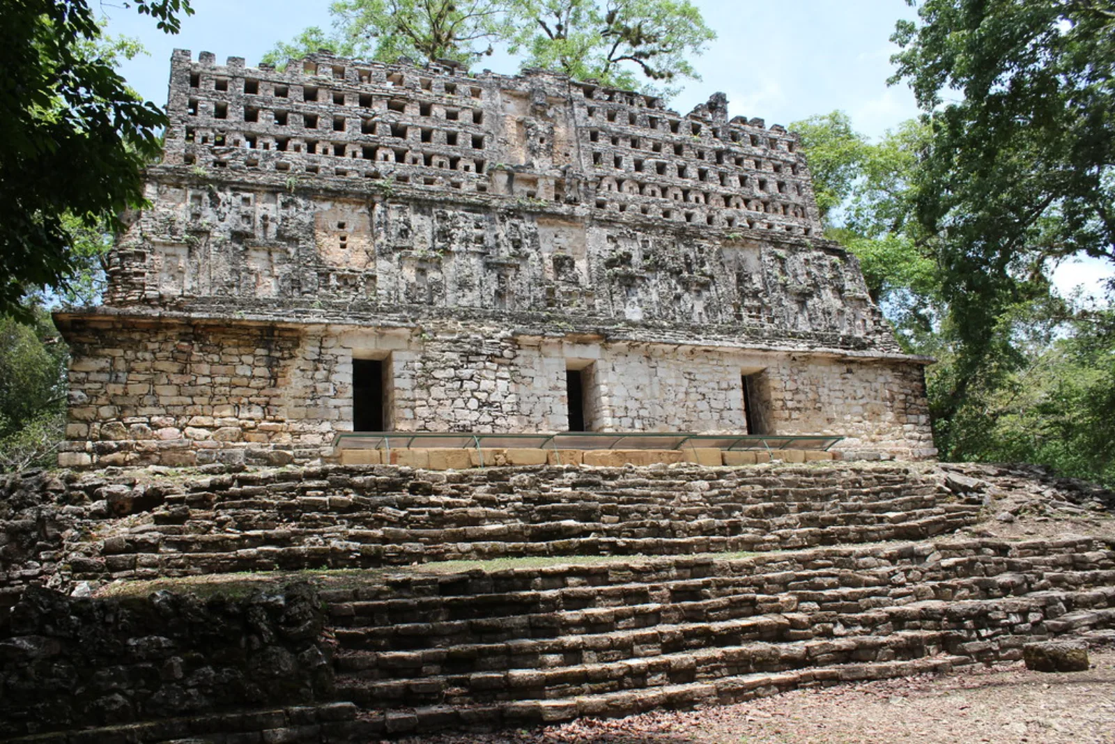 La Estructura 33 se alza sobre el bosque en Yaxchilán.