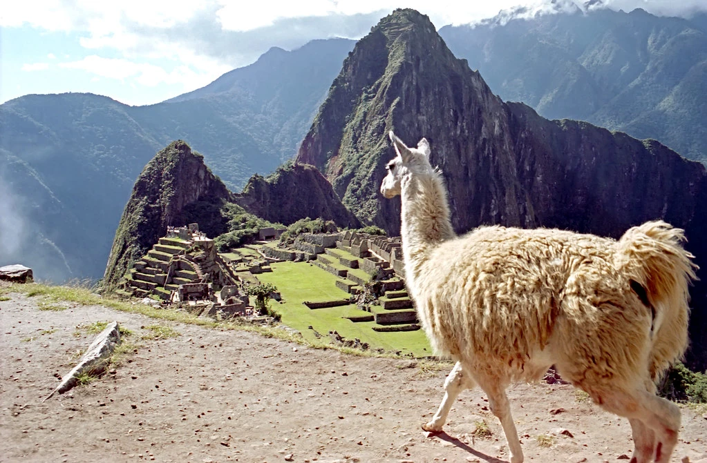 Stone terraces and mountain peaks surrounding Machu Picchu in Peru.