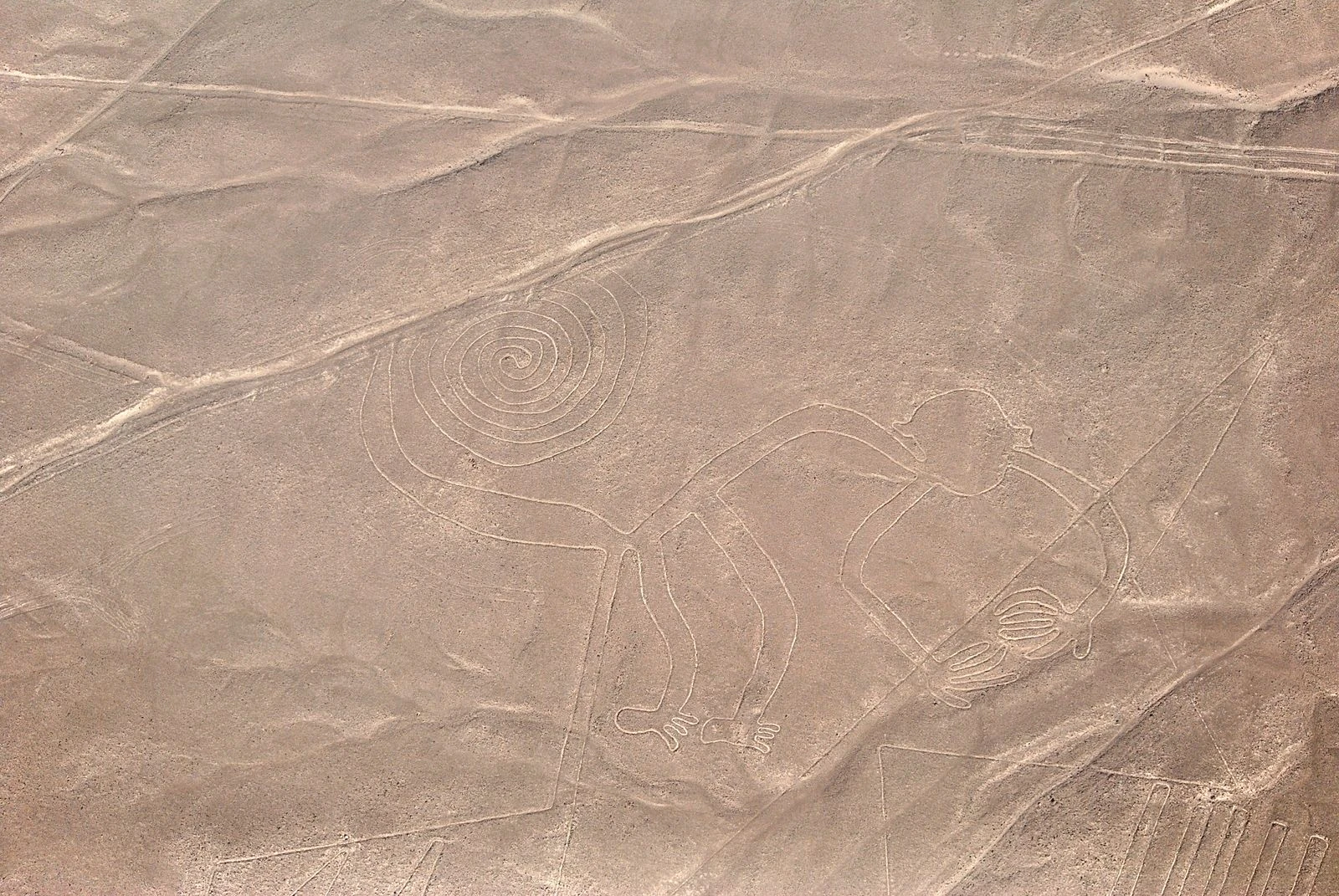 The monkey geoglyph curling across the pale Nazca desert from above.