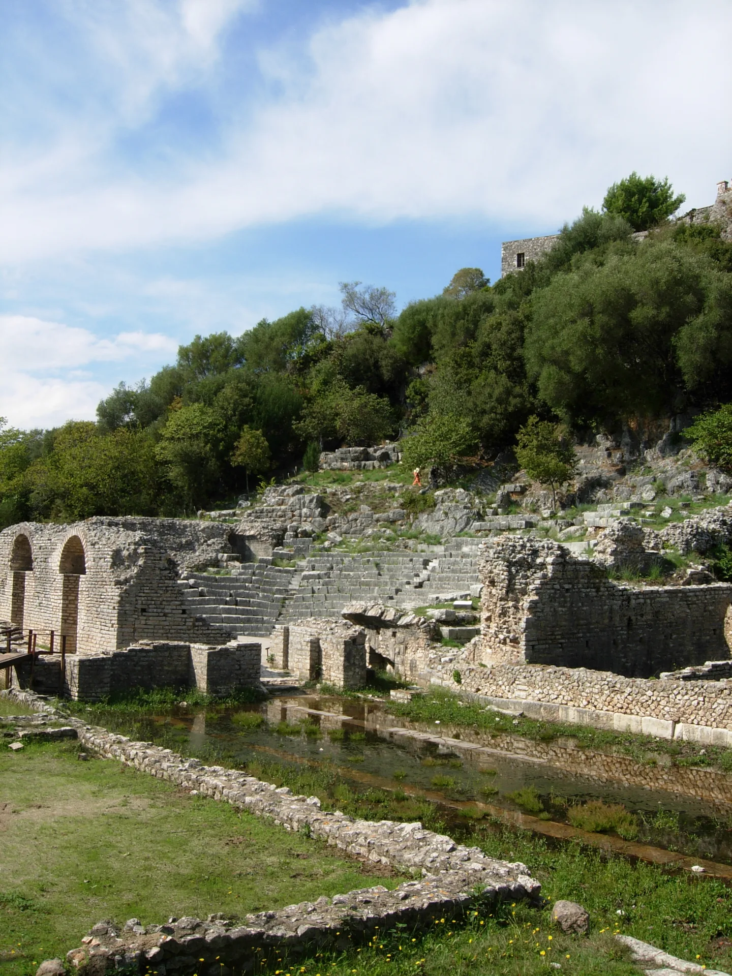 The stone seating and remains of the ancient theatre at Butrint, surrounded by woodland.