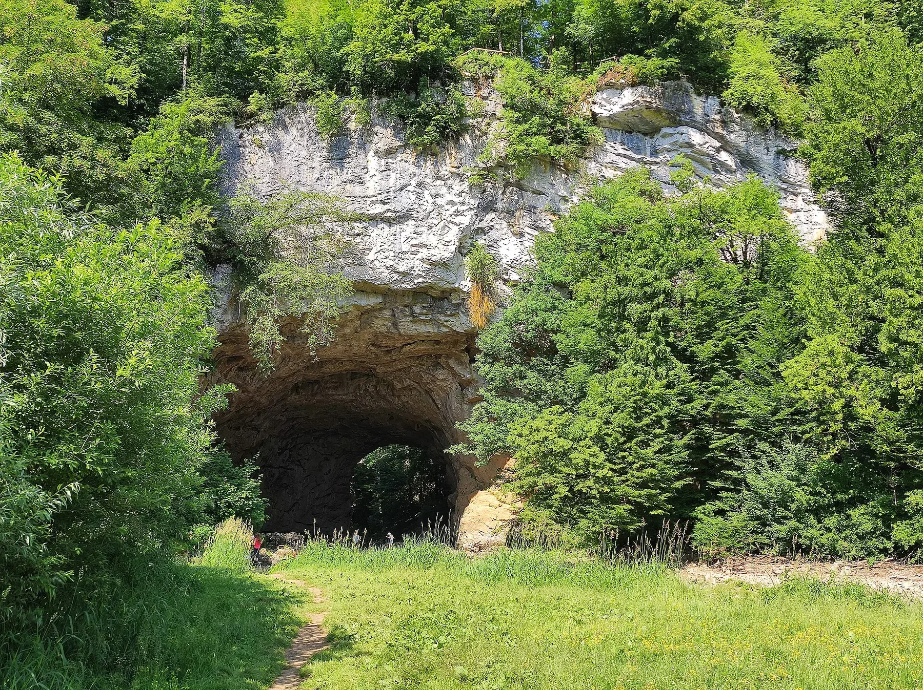The Large Natural Arch in the forested collapsed-karst valley of Rakov Škocjan.