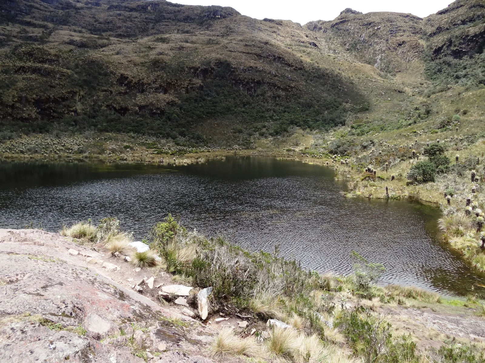 Laguna de Iguaque surrounded by high Andean páramo vegetation.