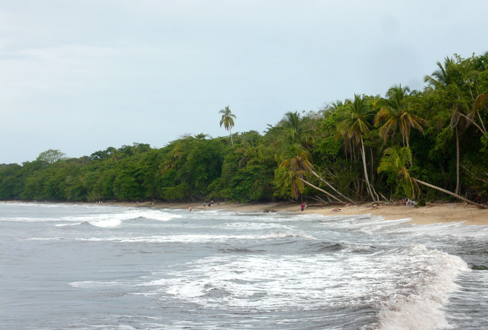 Cahuita coastal trail in Costa Rica.