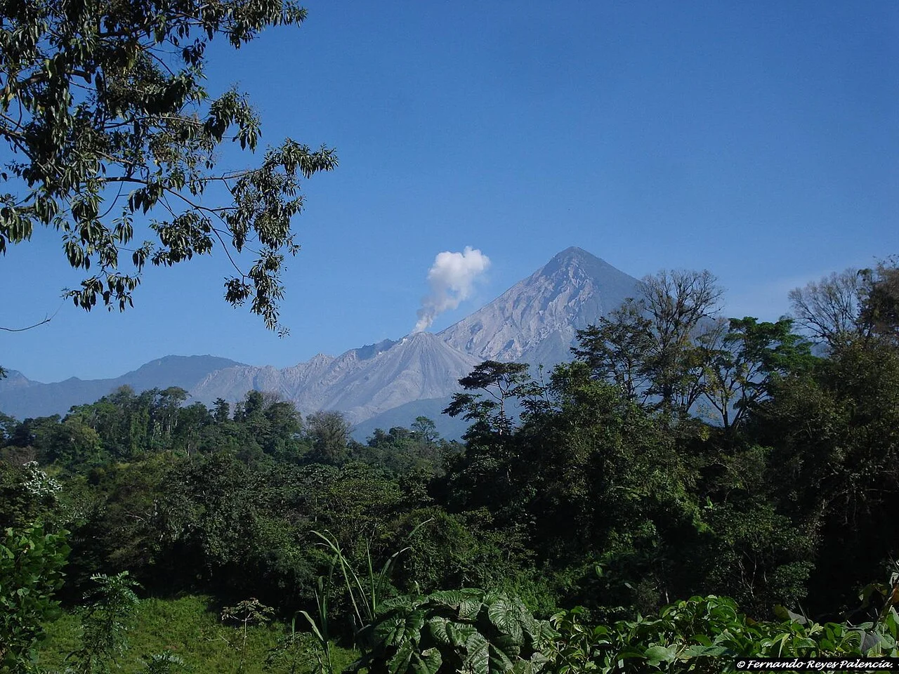 Santa María volcano rising above tropical forest with Santiaguito's plume visible below.