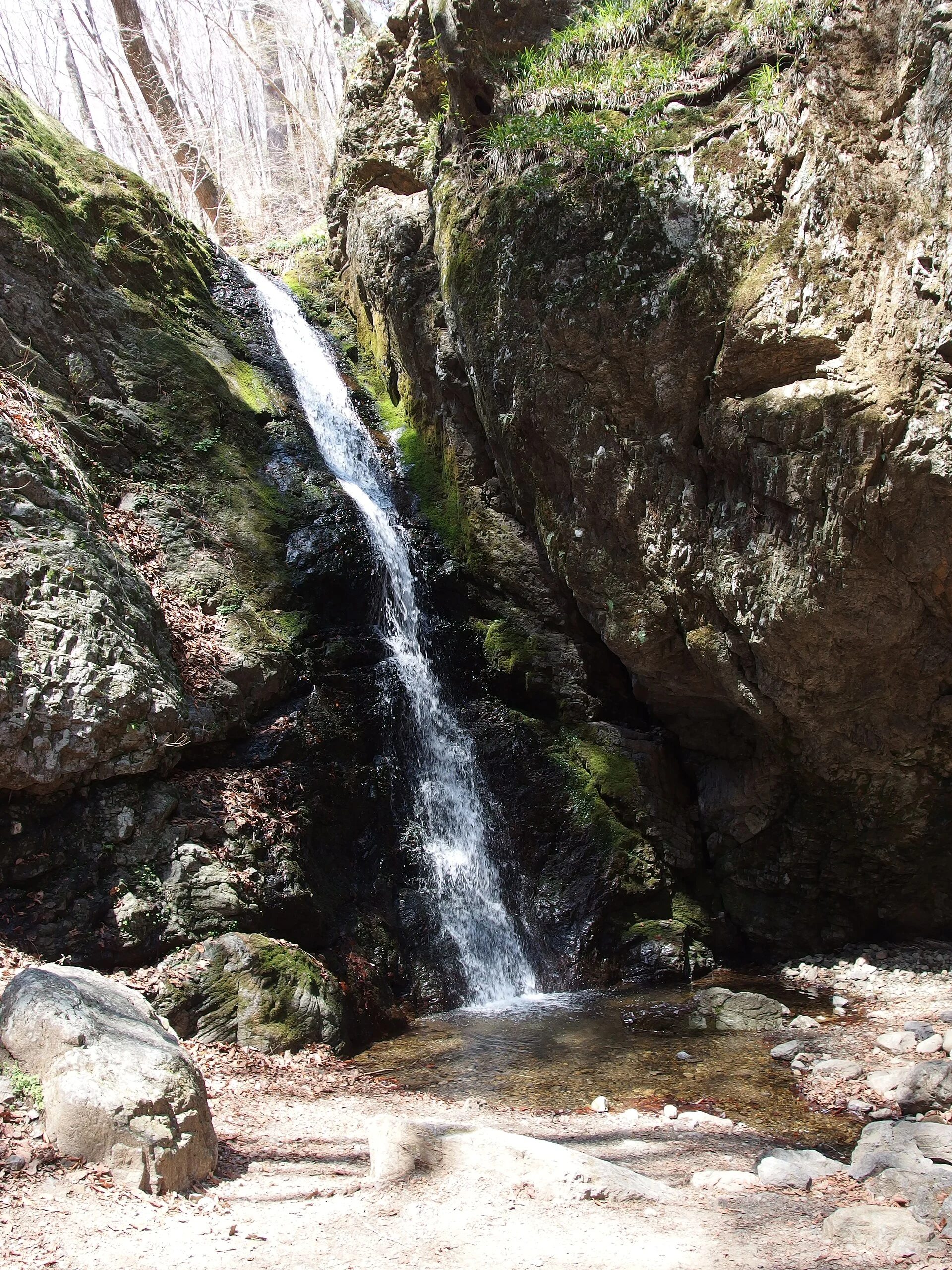 A waterfall in the mossy Rock Garden on the Mount Mitake trail.
