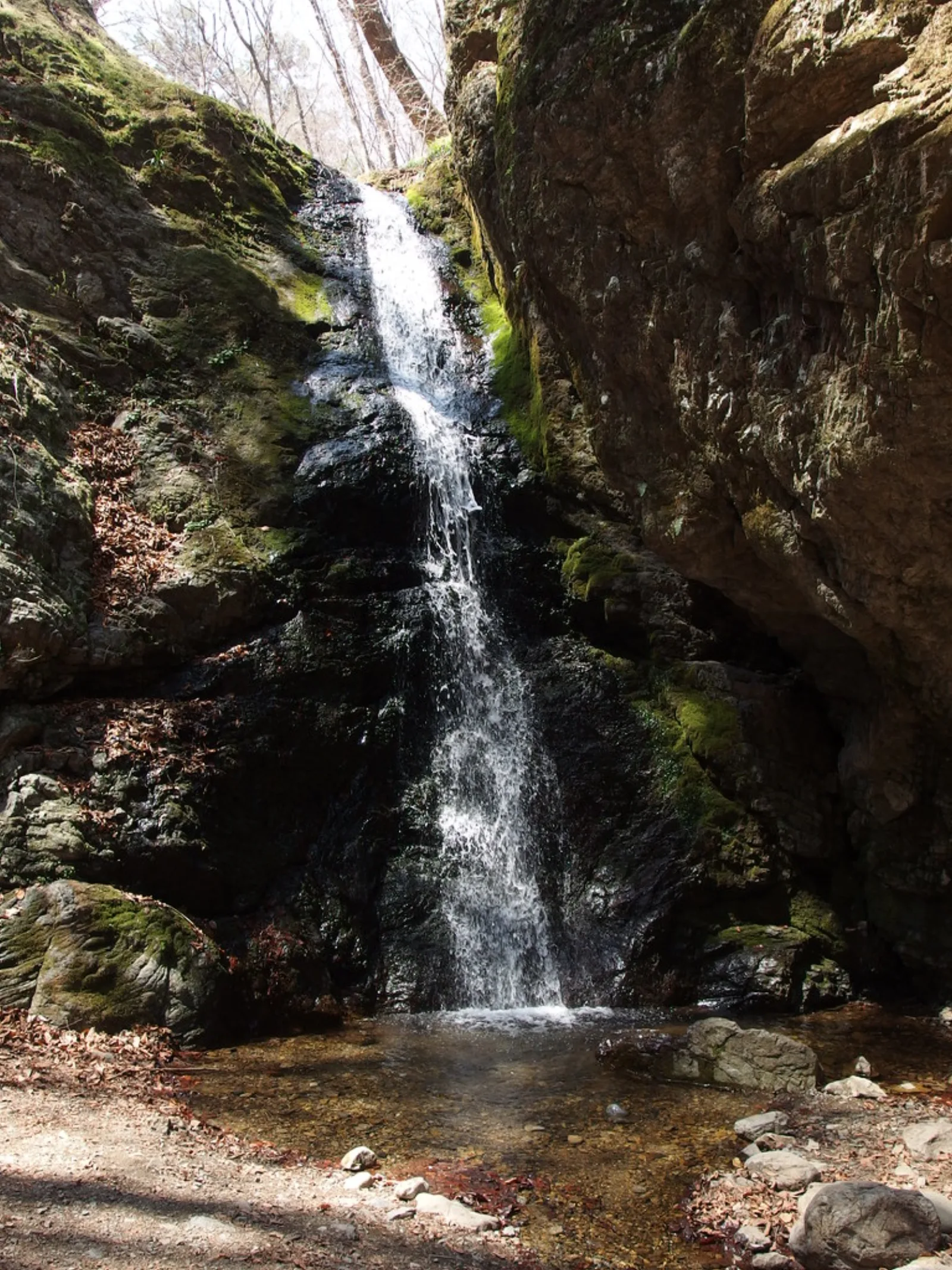 Waterfall along the Rock Garden trail on Mount Mitake.