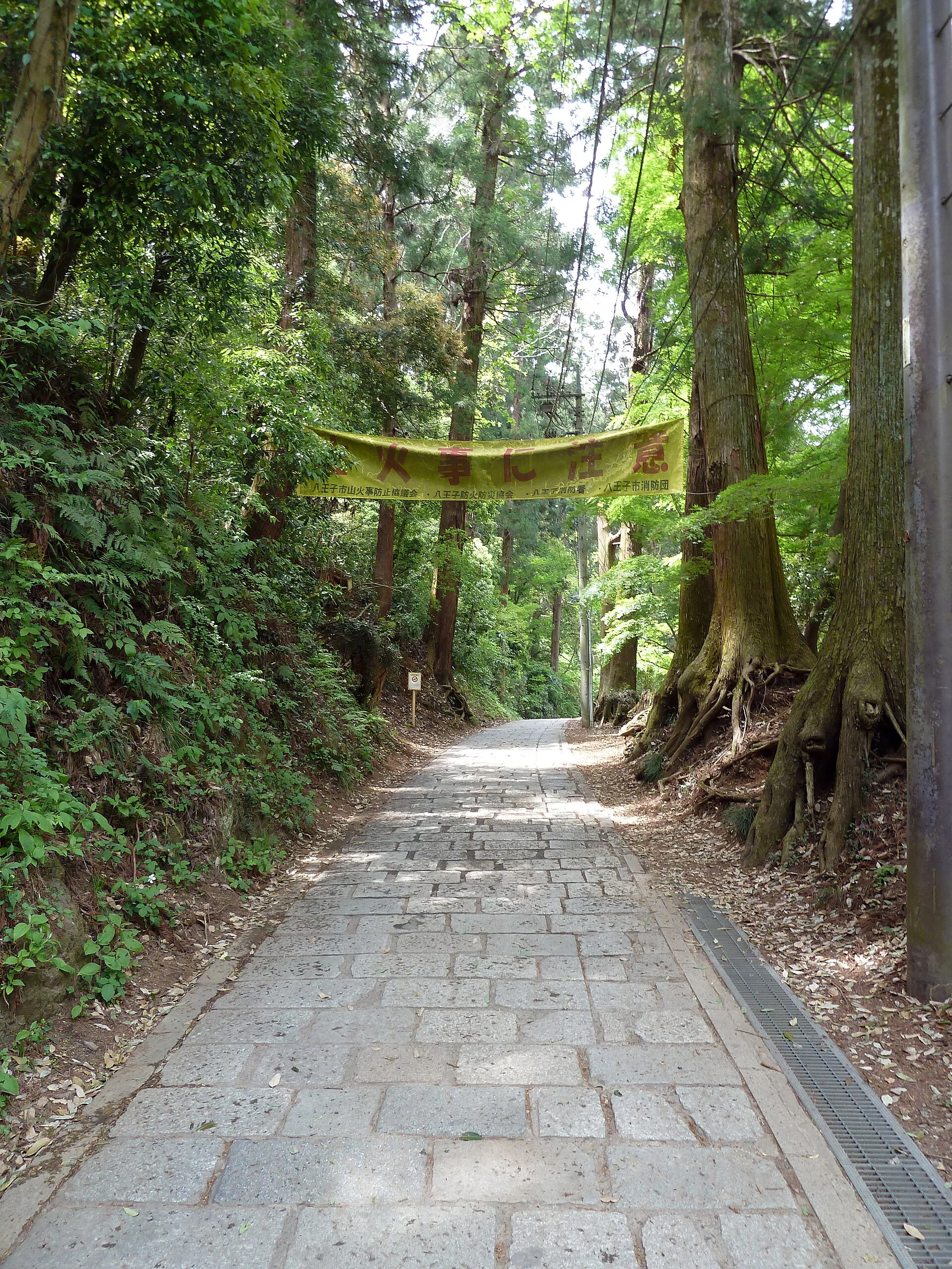 A wooded hiking trail on Mount Takao near Tokyo.