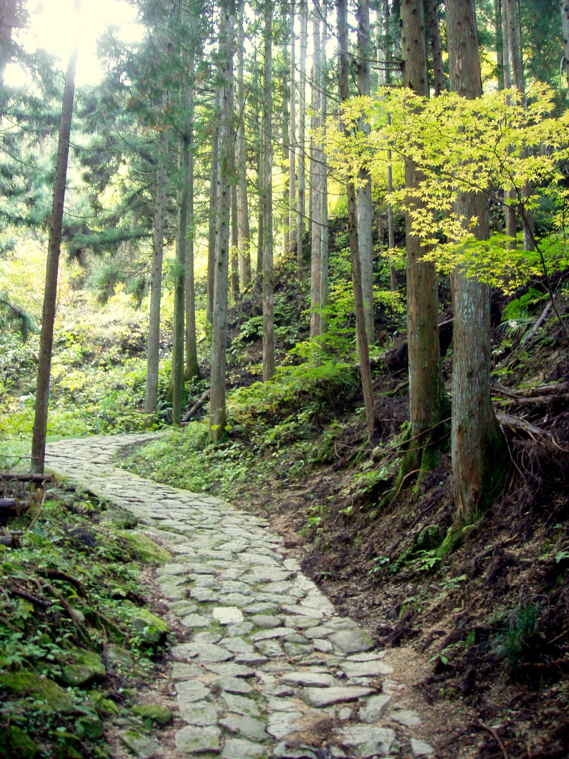 The historic Nakasendo trail between Magome and Tsumago.