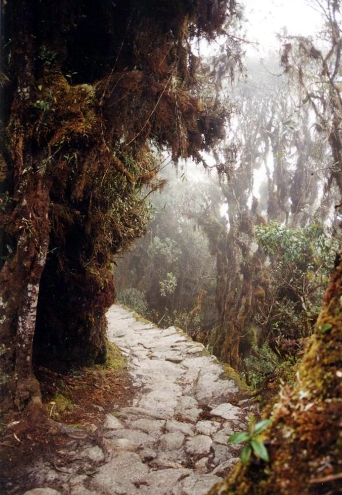 A trail crossing high alpine terrain in Peru's Cordillera Huayhuash.