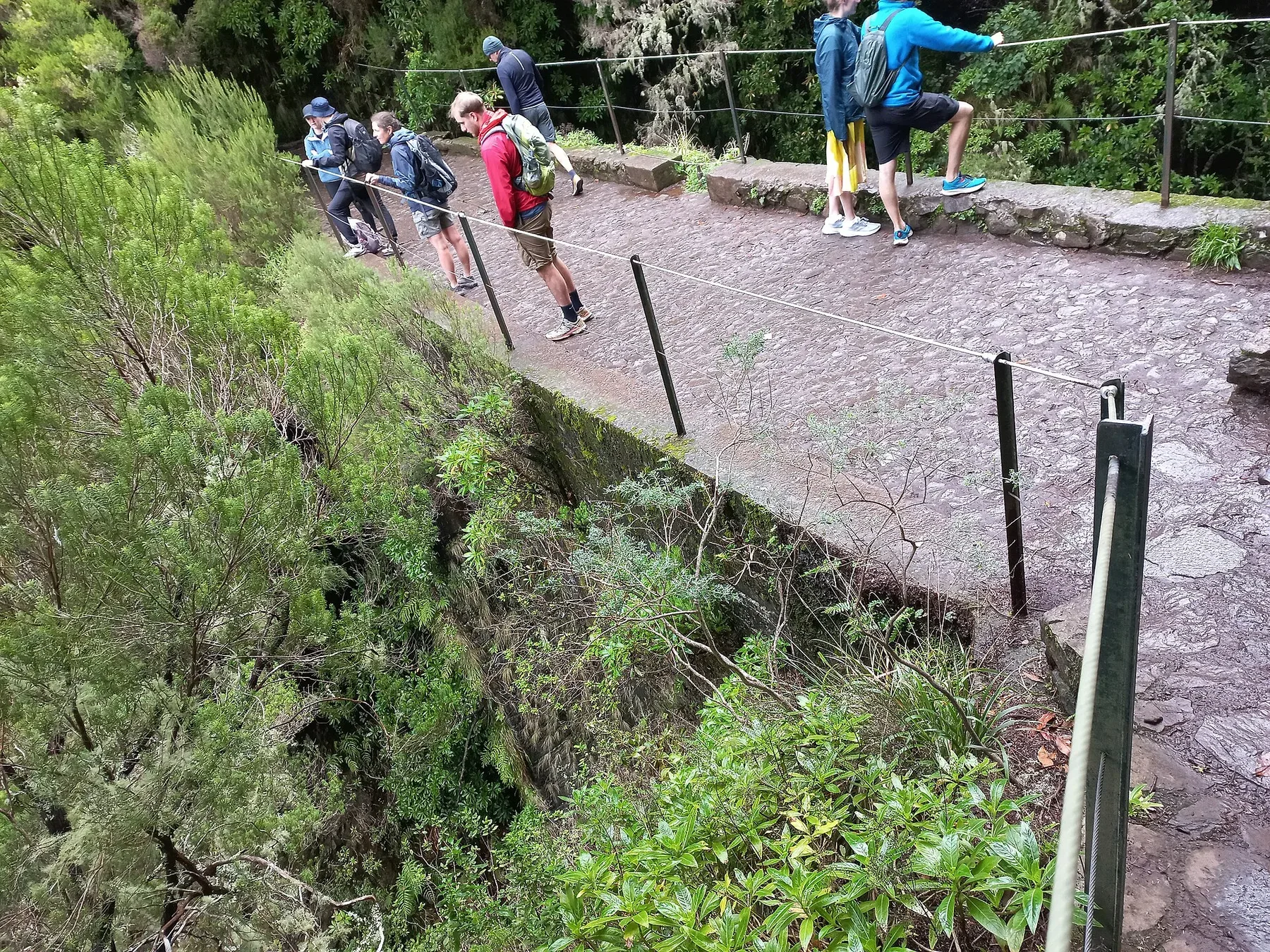 Walkers following the Levada das 25 Fontes through Madeira's laurel forest.