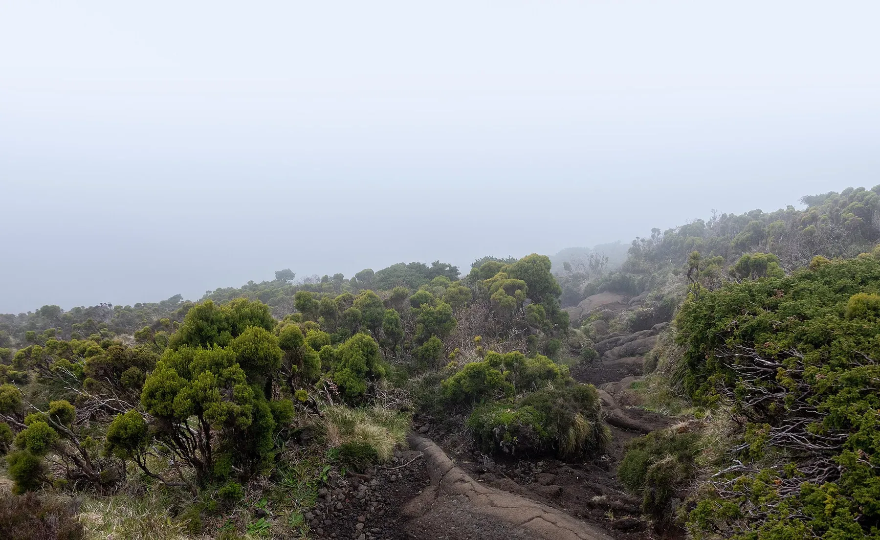 The high volcanic hiking route on Mount Pico in the Azores.