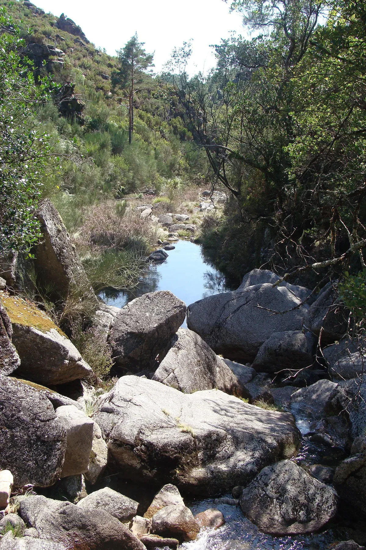Granite boulders and a mountain stream in Peneda-Gerês National Park.