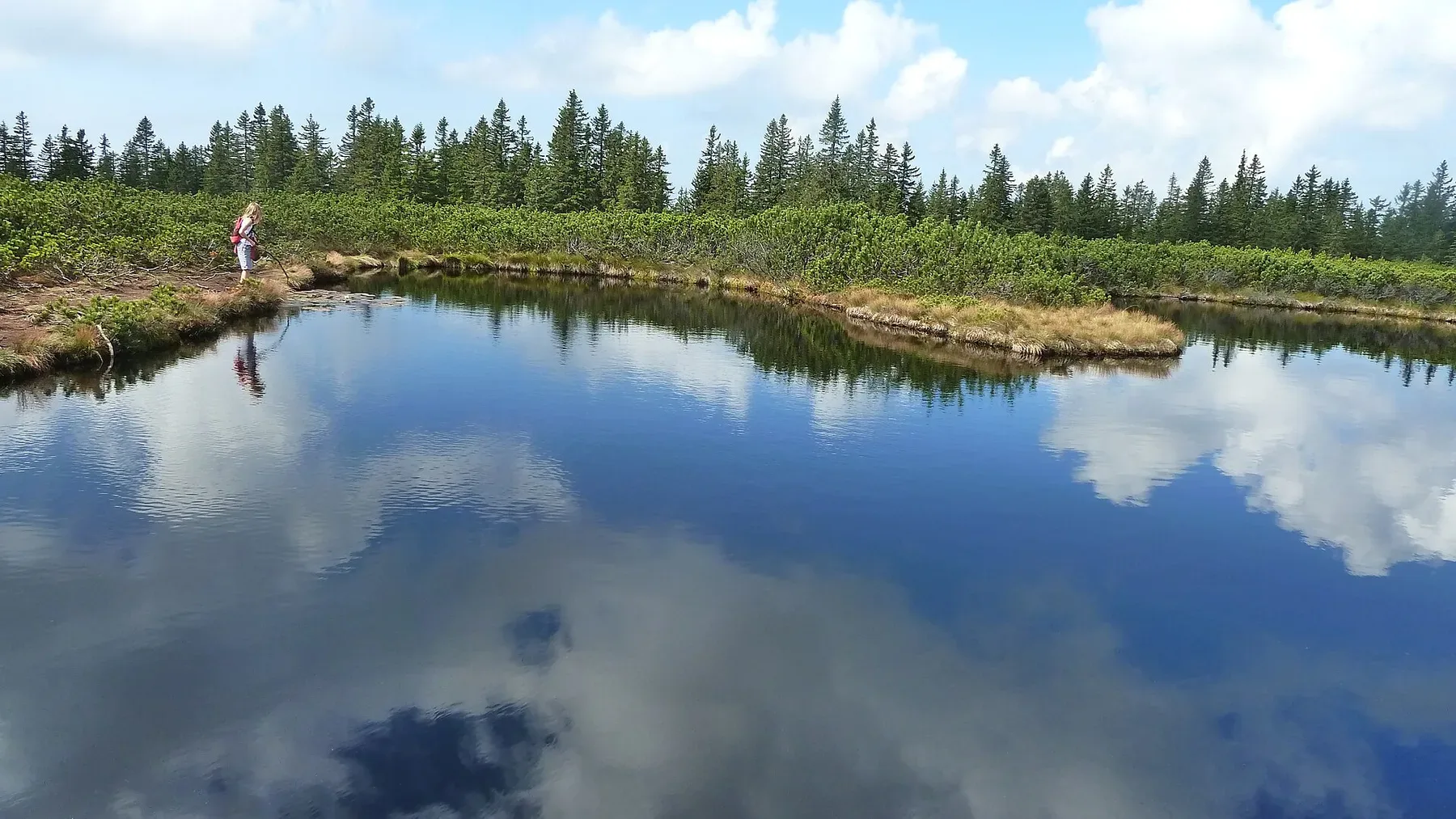 One of the peat-bog lakes on the Lovrenc Lakes boardwalk in Slovenia's Pohorje plateau.