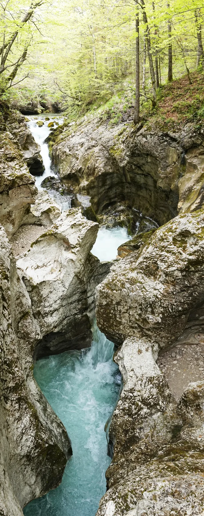 Clear water cutting through the limestone walls of Mostnica Gorge near Lake Bohinj.