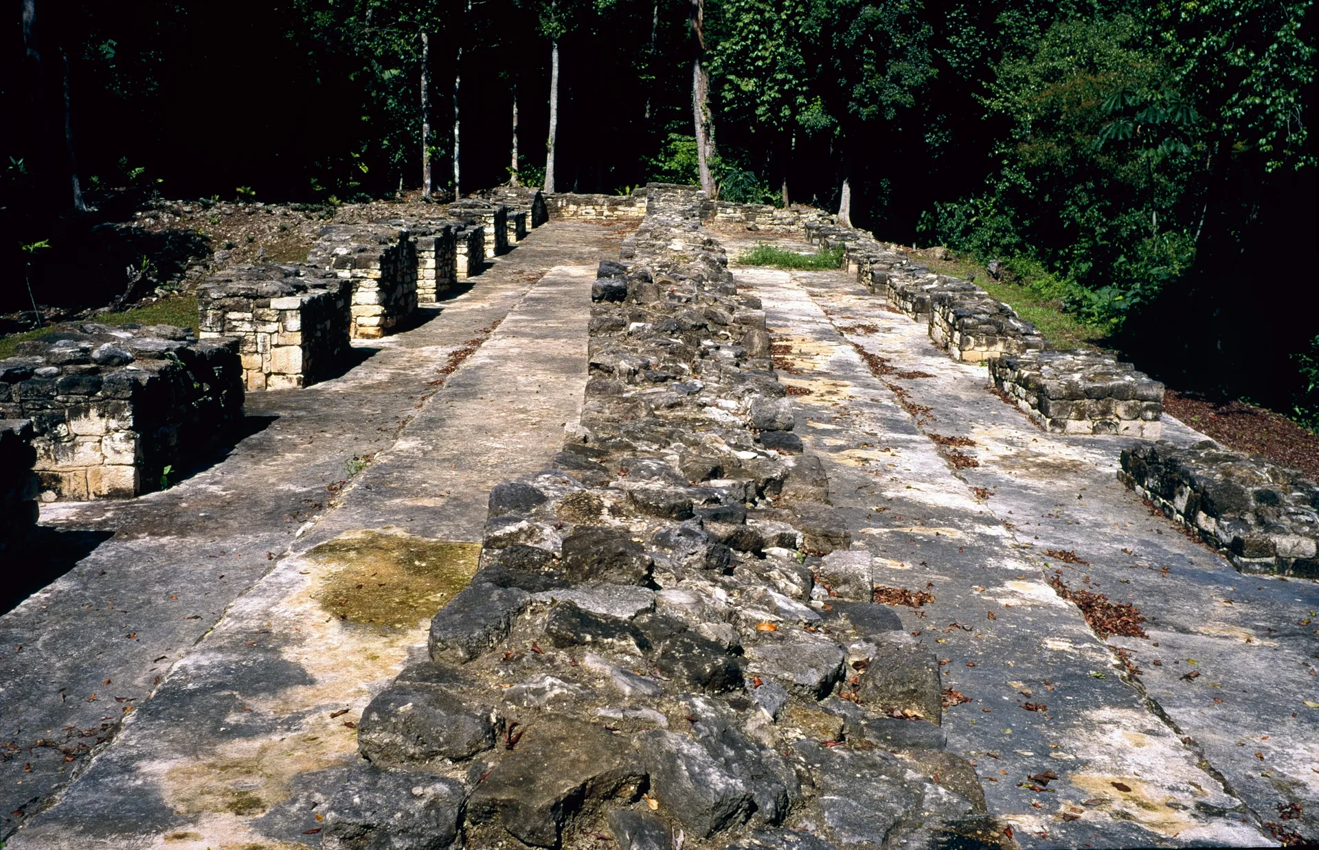 Stone architecture and a forest path at the Aguateca archaeological site.