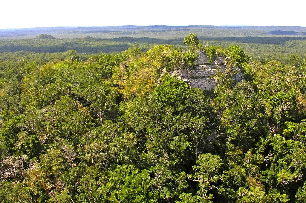 La Danta complex emerging from the forest canopy at El Mirador.