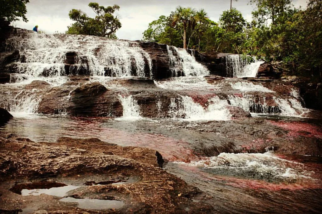 Red aquatic plants tinting the rock shelves and cascades of Caño Cristales.