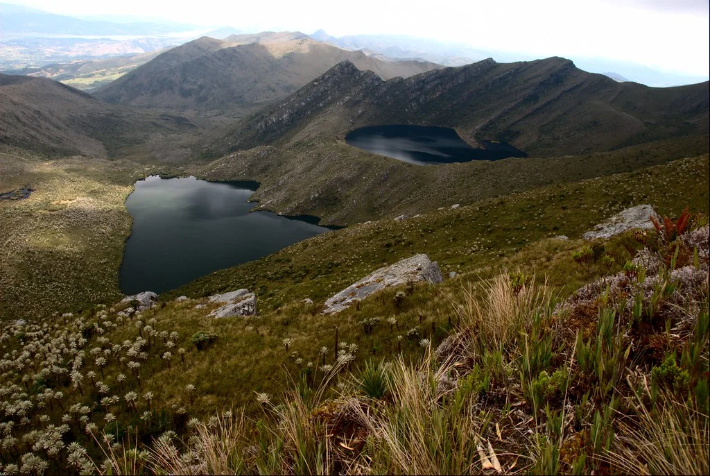 High mountain lagoons surrounded by frailejones in Chingaza National Natural Park.