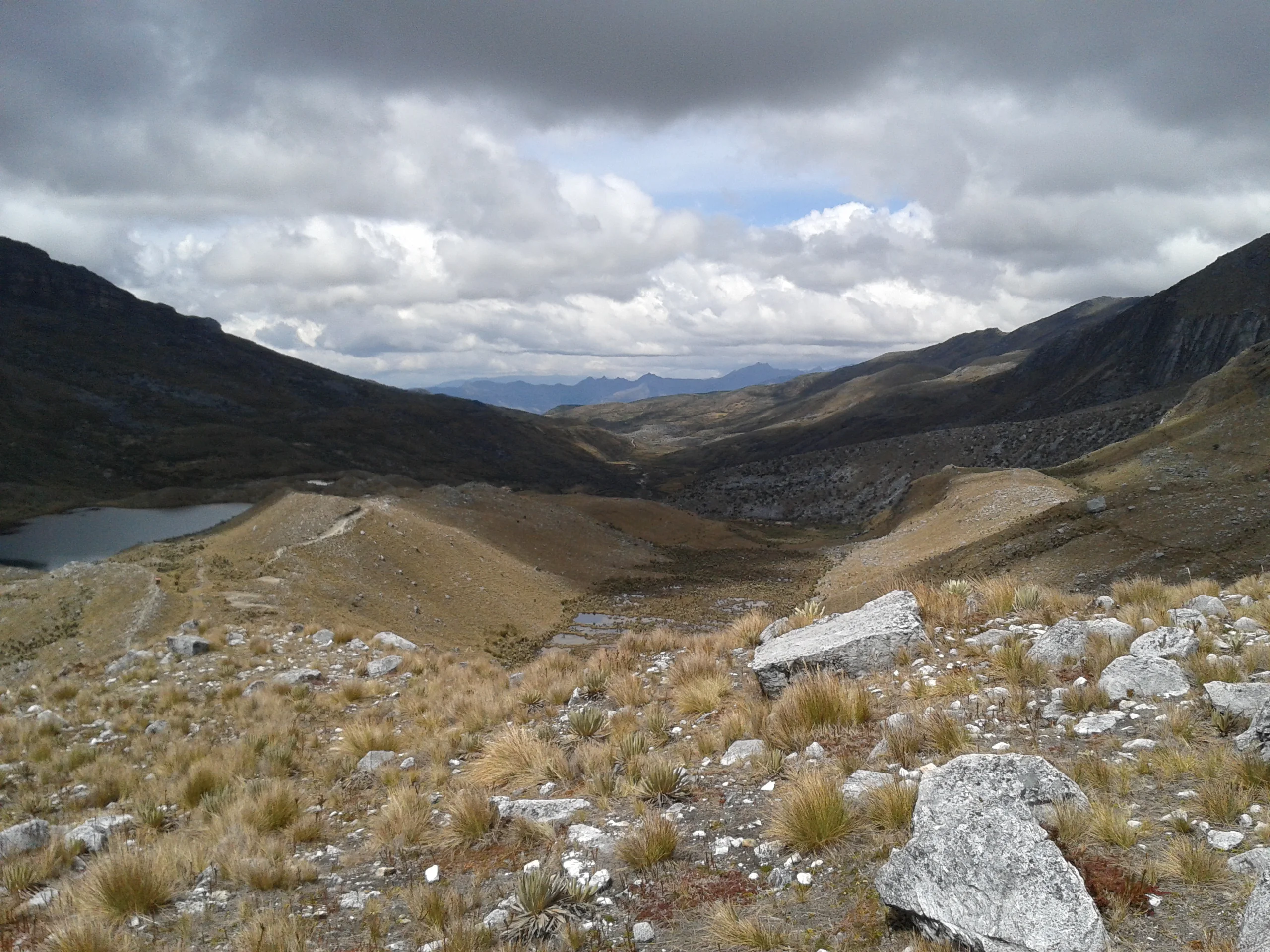 Rocky páramo, frailejones and a high lagoon in El Cocuy National Natural Park.