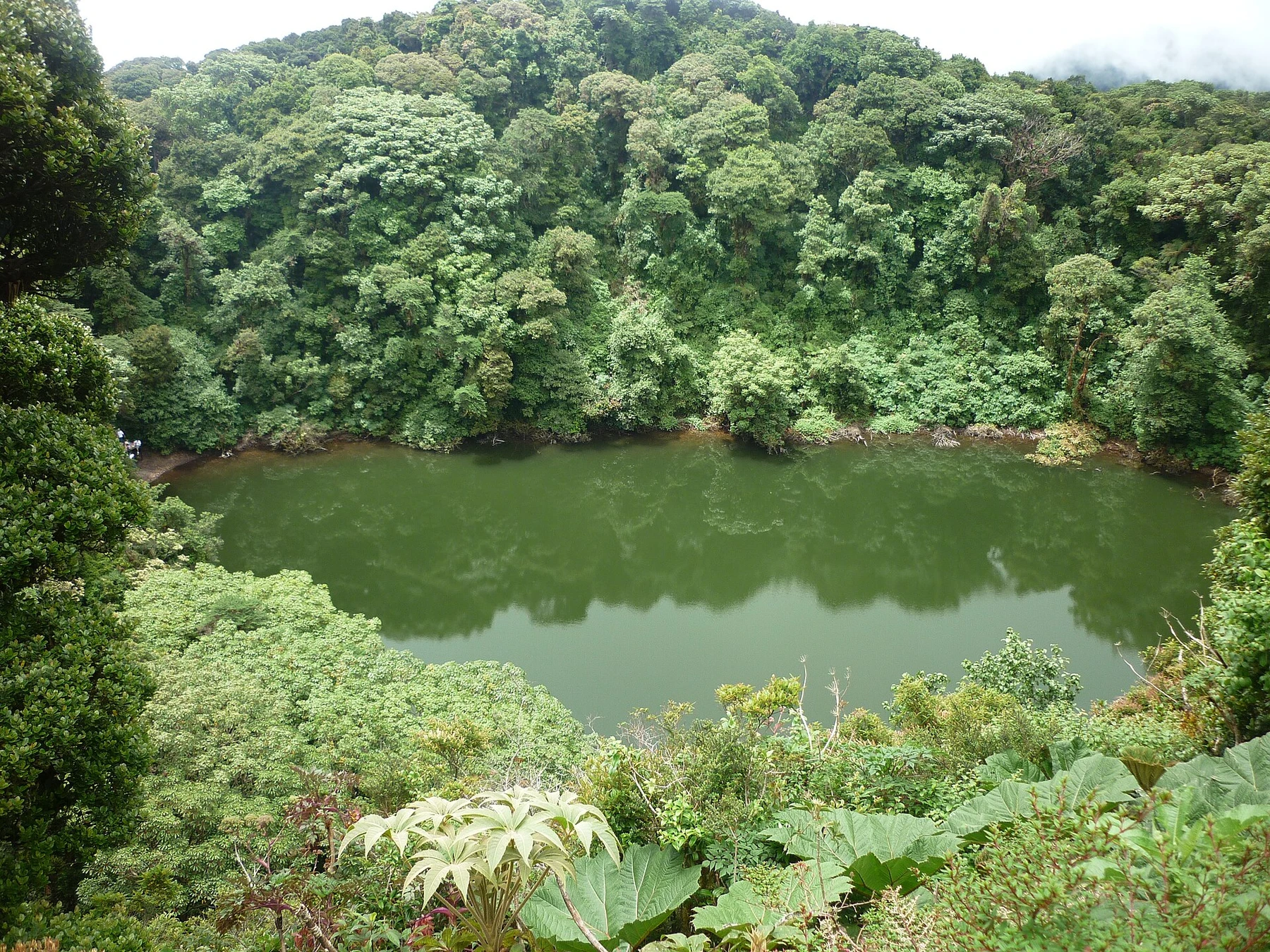 The forest-framed crater lagoon of Barva Volcano.