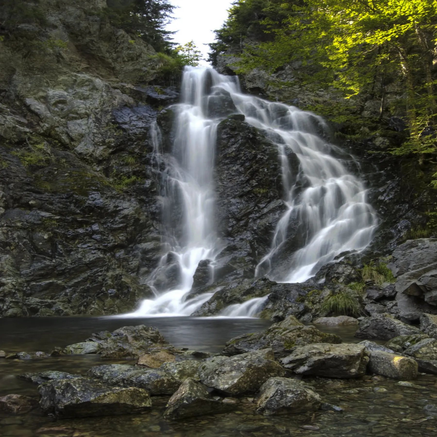 Las cascadas Third Vault bajan por un barranco boscoso del parque nacional Fundy.