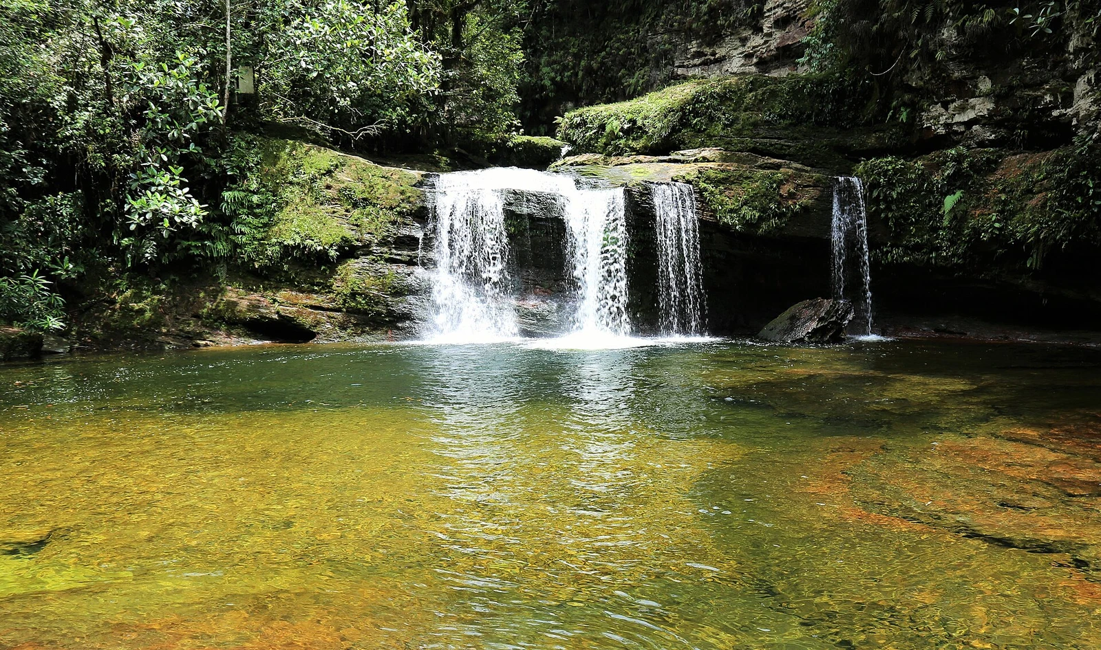 A forest pool and low cascade on the Fin del Mundo route near Mocoa, Colombia.