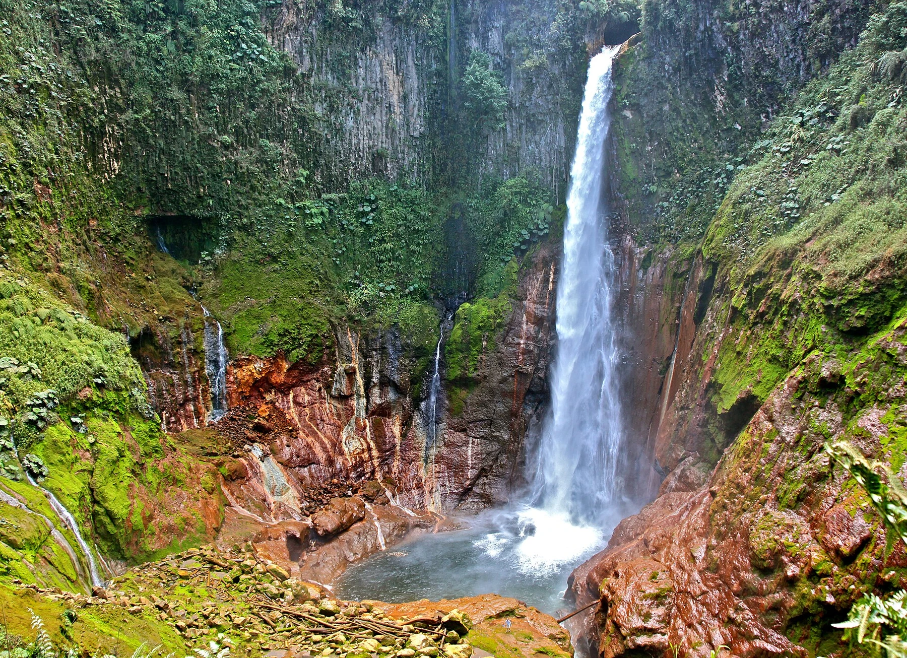Catarata del Toro plunging into its forested volcanic canyon.