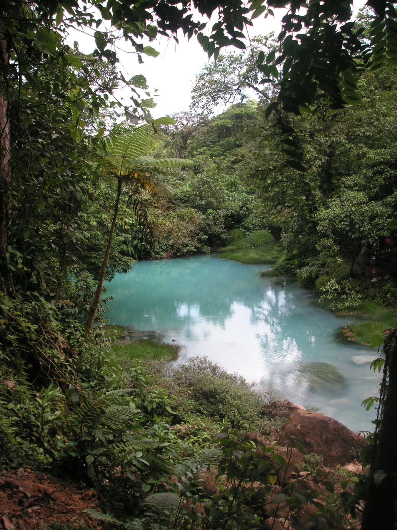 The vivid blue Río Celeste waterfall surrounded by rainforest in Costa Rica.