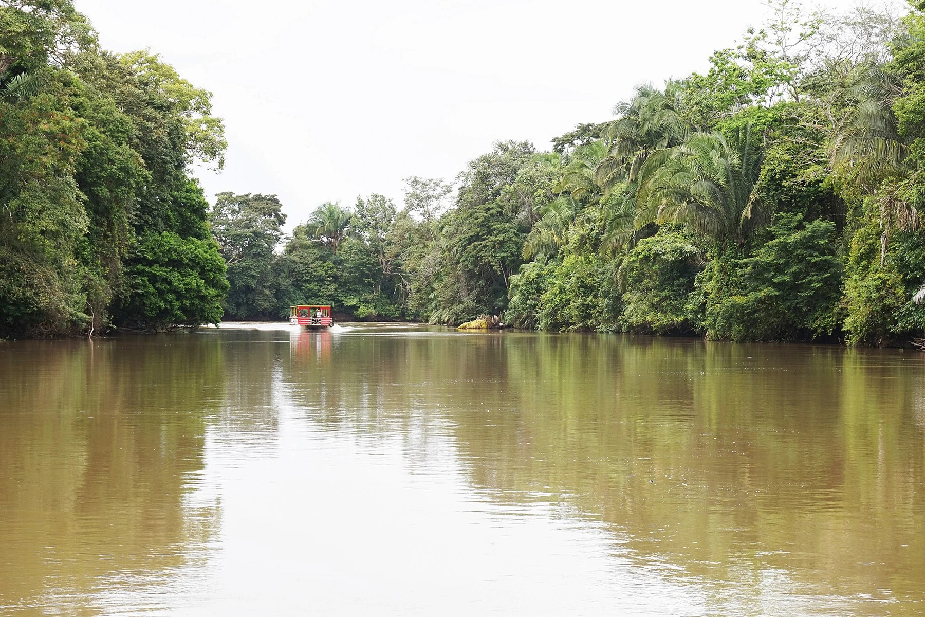 Caño Negro Wildlife Refuge in Costa Rica.