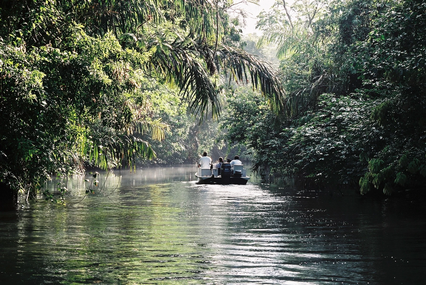 A small boat traveling through the forest-lined canals of Tortuguero National Park.